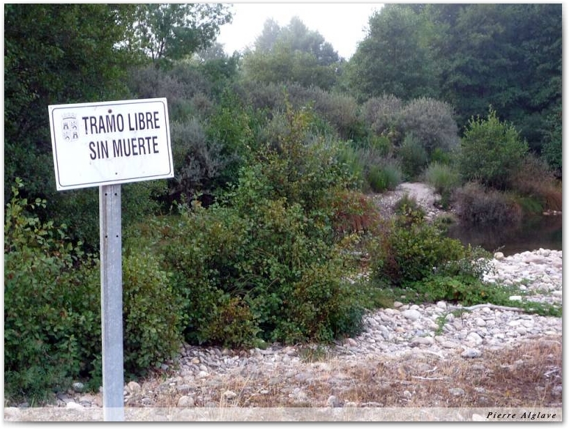 Pêche avec remise à l\'eau