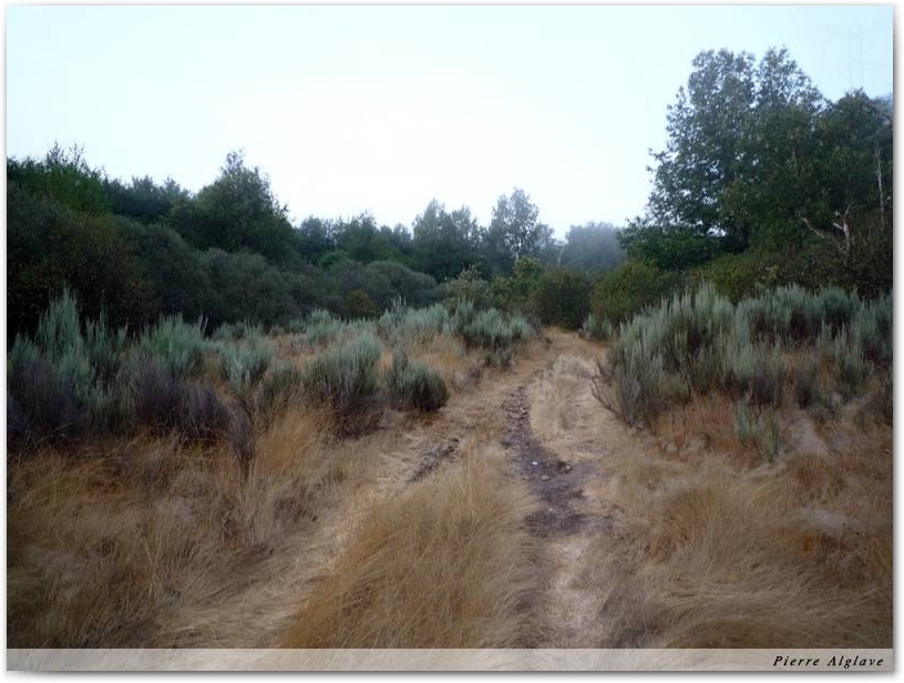 Le Chemin
