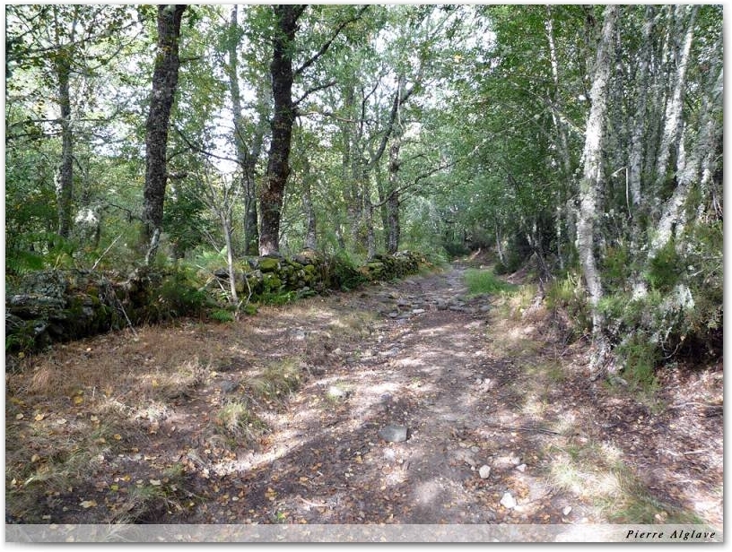 Le Chemin