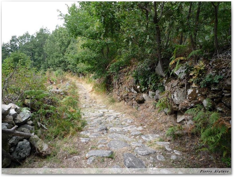 Le Chemin