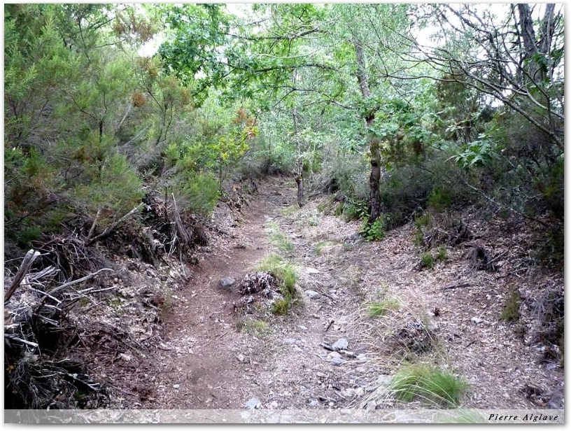 Le Chemin