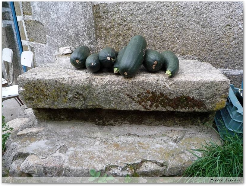 Pas de chance le banc est déjà occupé