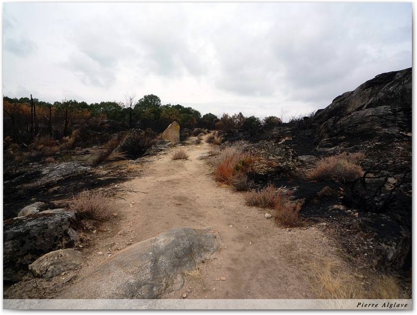 Traversée d`une zone incendiée