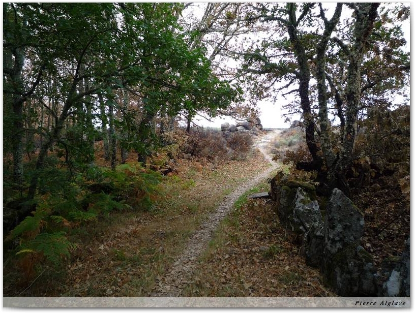 Le Chemin
