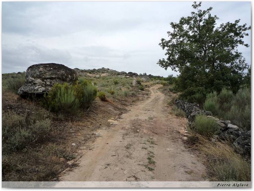 Le Chemin