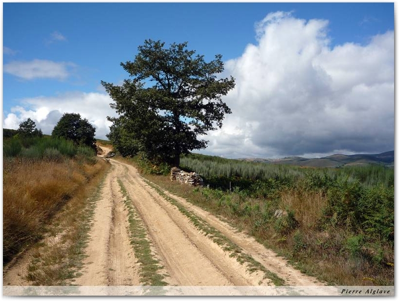 Le Chemin