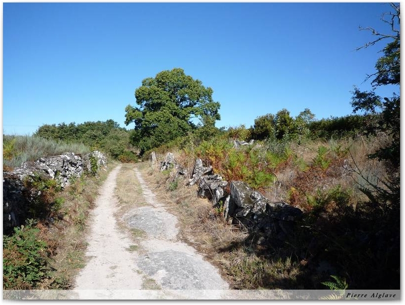 Le Chemin