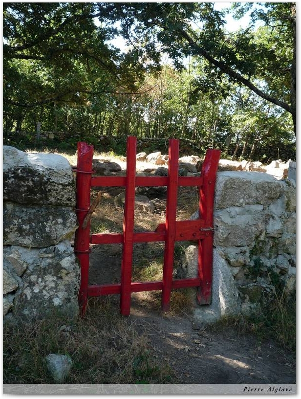 Portillon chinois ?