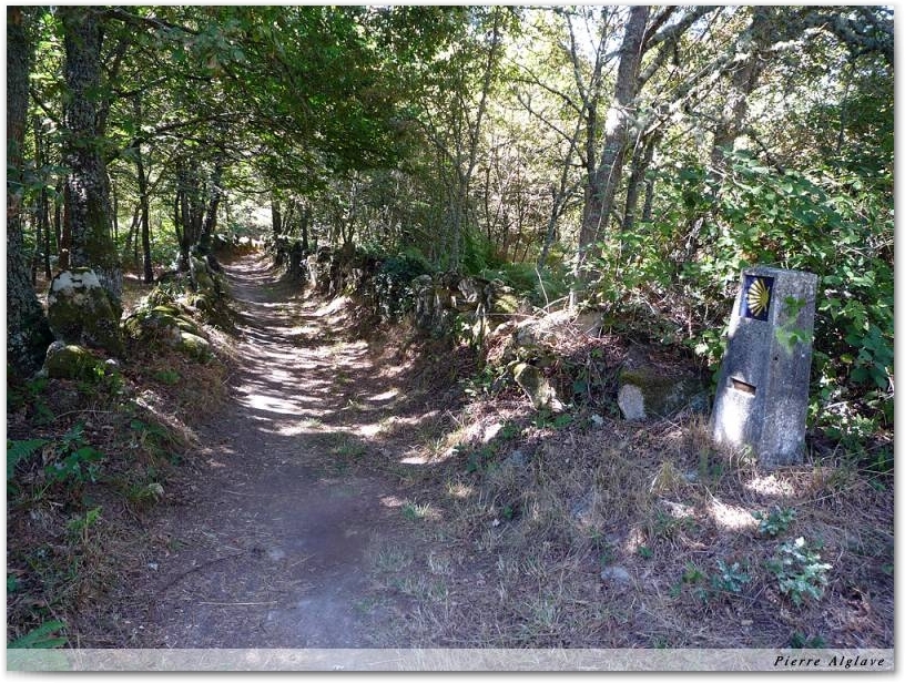 Le Chemin