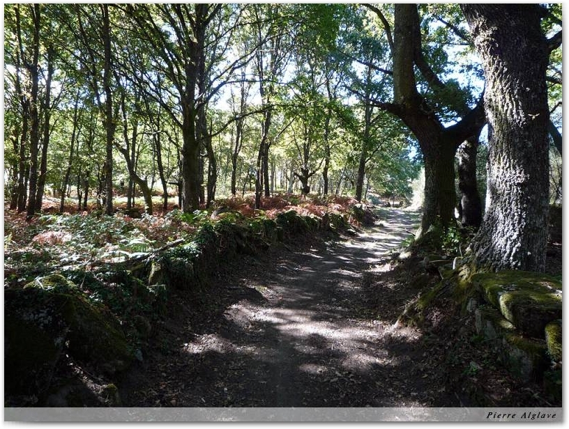 Le Chemin