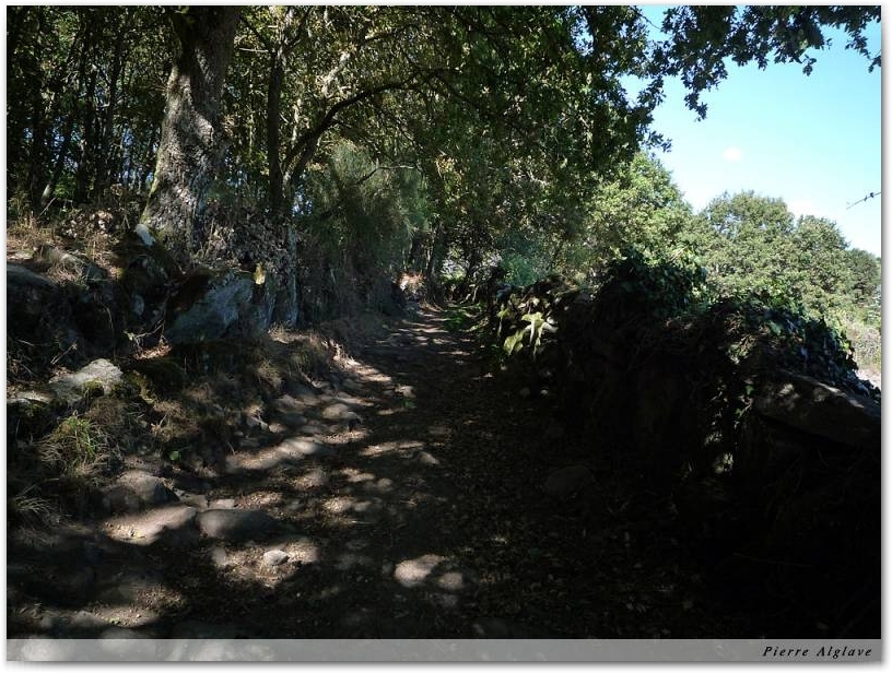 Le Chemin