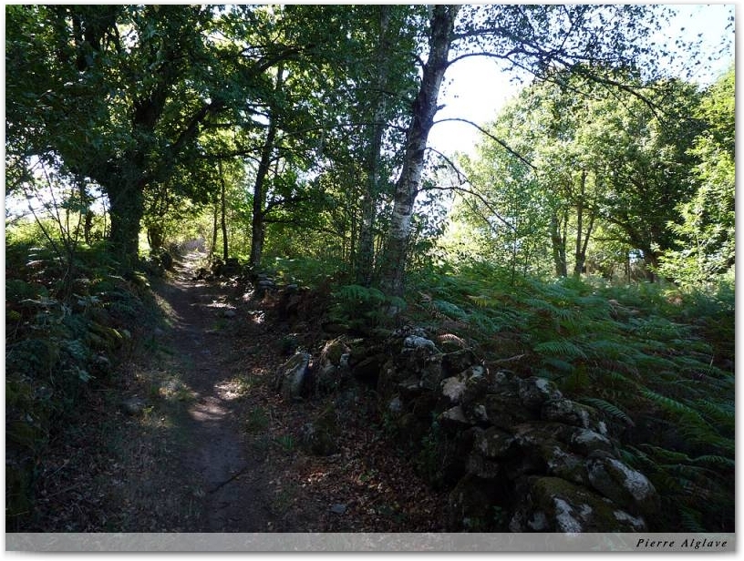 Le Chemin