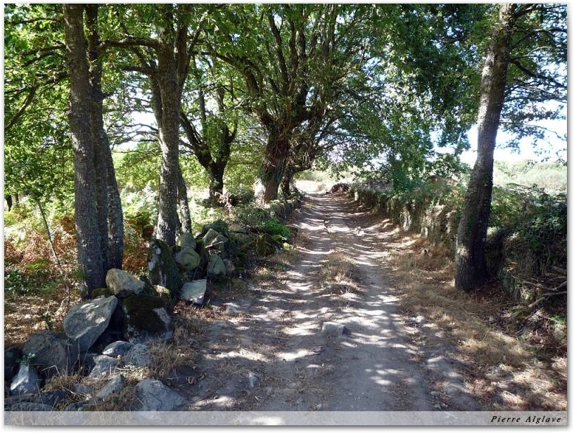 Le Chemin