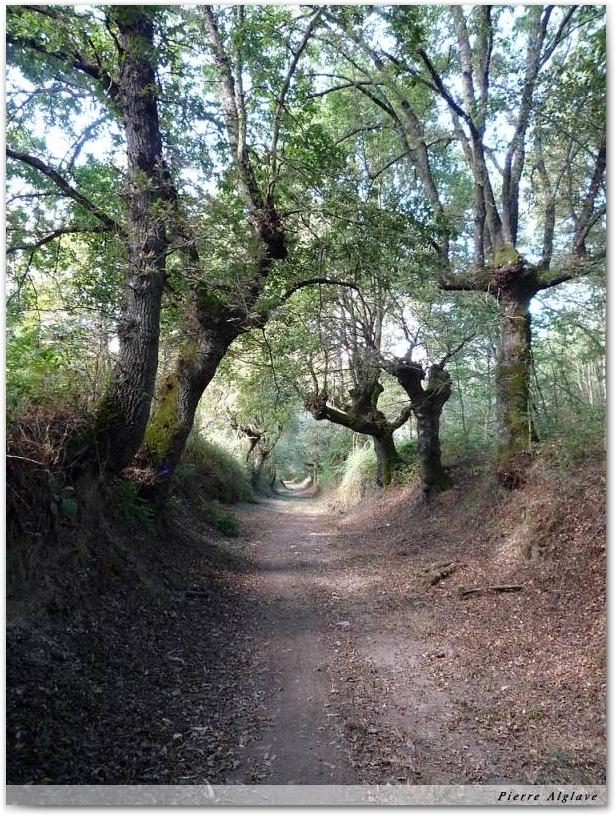 Le Chemin
