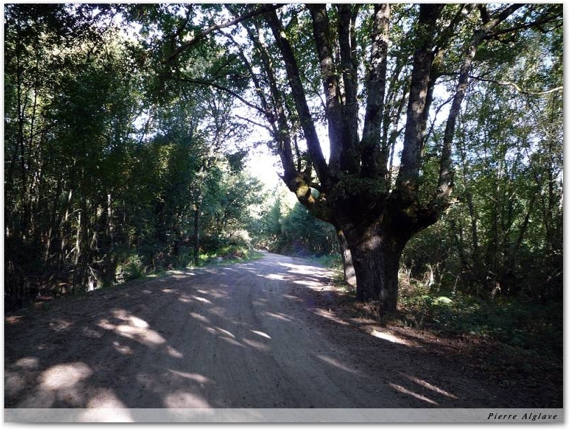 Le Chemin