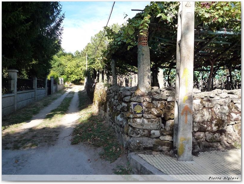 Chemin et vignes