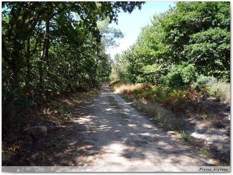 Le Chemin