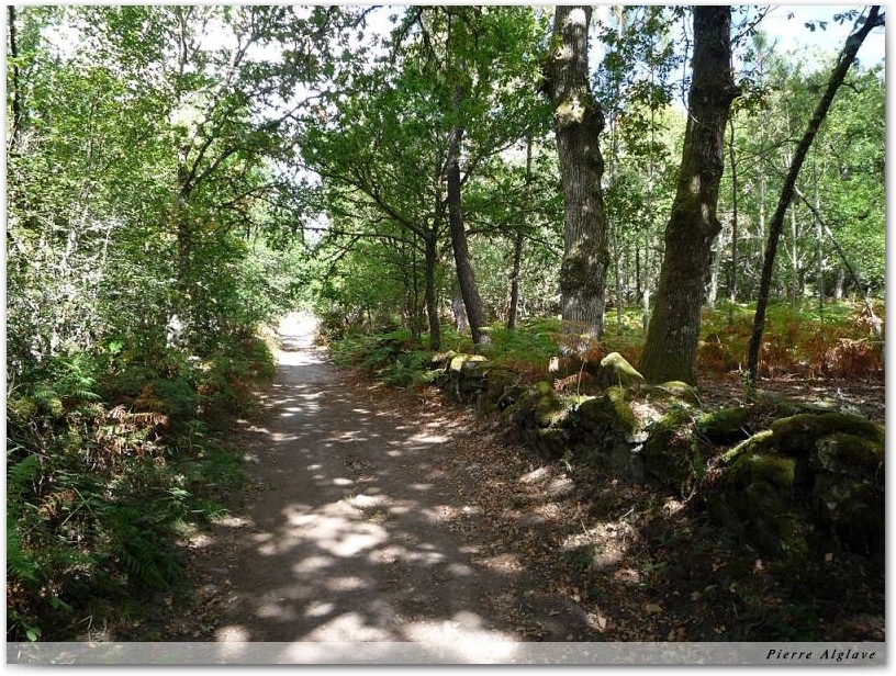 Le Chemin