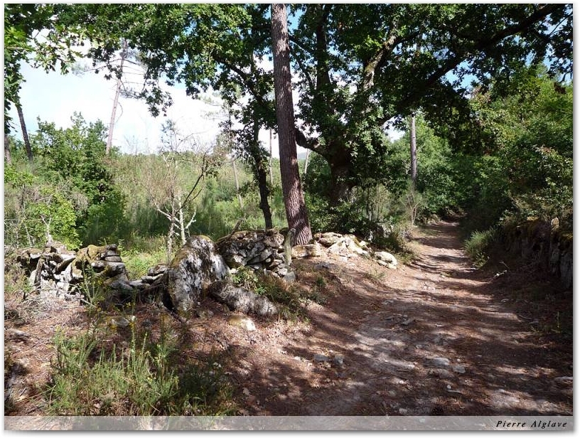 Le Chemin