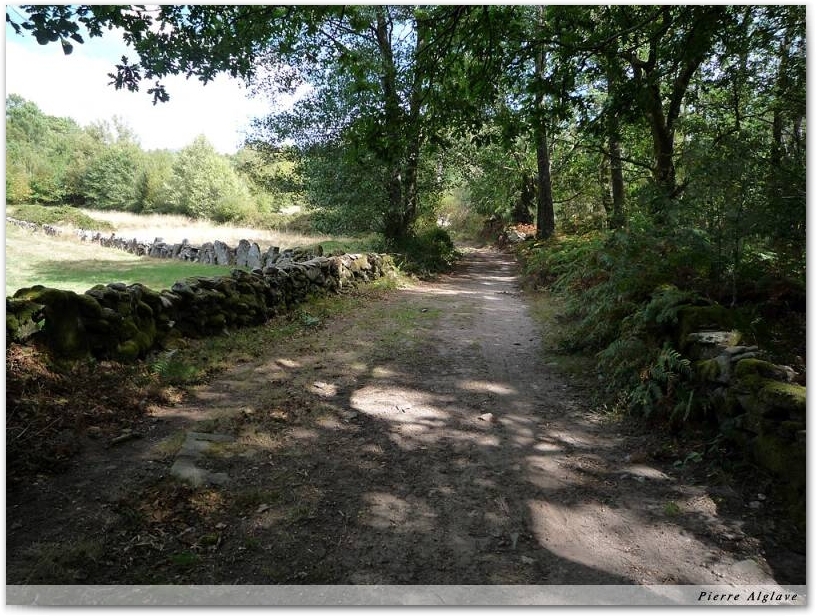 Le chemin