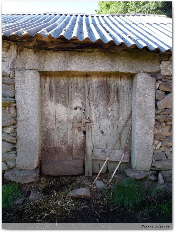 Porte