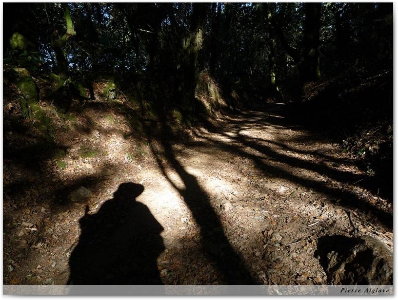 Le Chemin