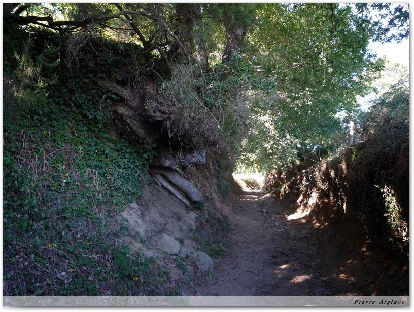 Le Chemin