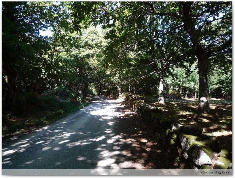 Le Chemin