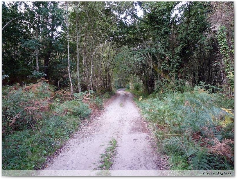 Le Chemin