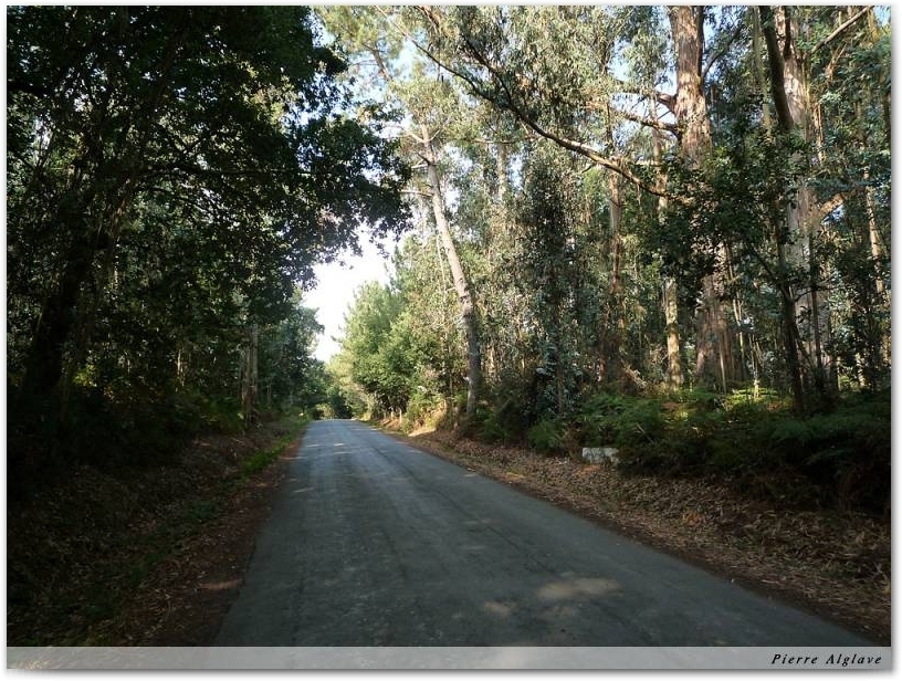 Le Chemin