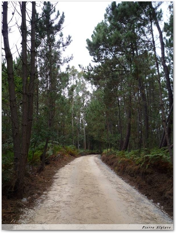 Le Chemin