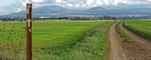 Octobre sur la via Francigena