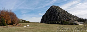 Mont Gerbier de Jonc