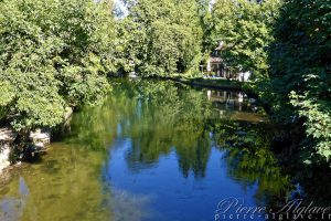 L'Essone à la Ferté-Allais