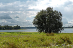 Lac de la forêt d'Orient