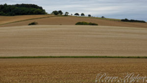 Couleurs d'automne