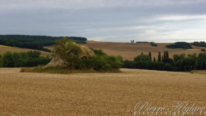 Couleurs d'automne