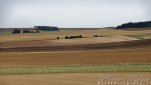 Couleurs d'automne