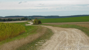 Le chemin