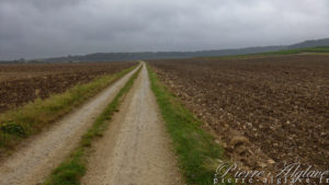 En Chemin