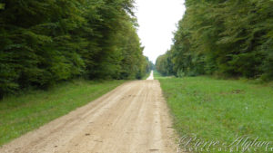 A la sortie du parc de Châteauvillain