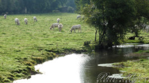 En chemin