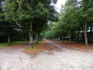 Parc à la sortie de Langres