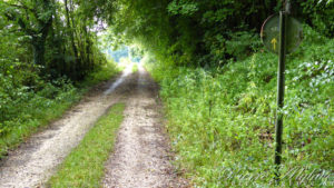 Balisage via Francigena