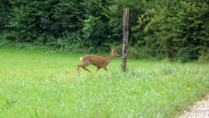 Une belle rencontre