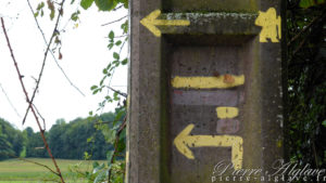 Balisage de la Via Francigena