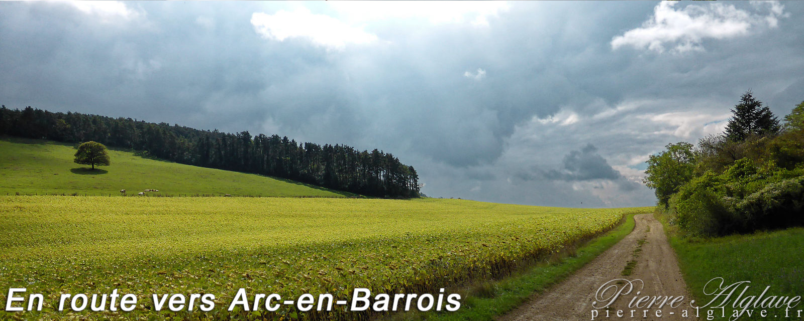 Vers Arc-en-Barrois