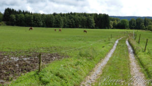 En Chemin