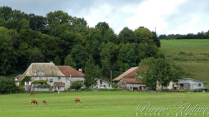 En Chemin