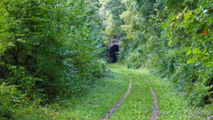 En suivant le train